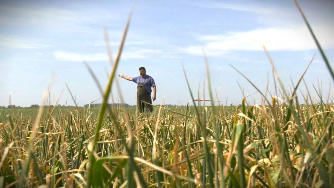 kakve novine predvidja