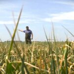 Kakve novine predviđa Nacrt zakona o sredstvima za zaštitu bilja?