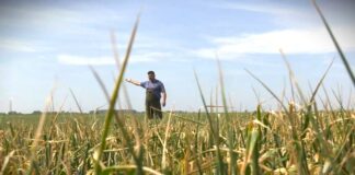 Kakve novine predviđa Nacrt zakona o sredstvima za zaštitu bilja?