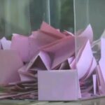 Nedeljkov (Crta): Sumnjamo da su mnoge proglašene liste, više od četvrtine, fantomske