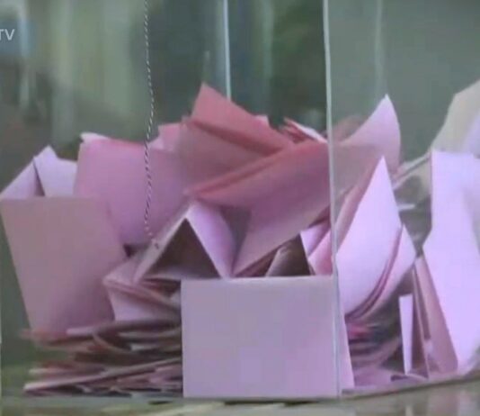 Nedeljkov (Crta): Sumnjamo da su mnoge proglašene liste, više od četvrtine, fantomske