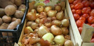 Novi izveštaj o pesticidima u hrani: Koje kulture su na vrhu liste?