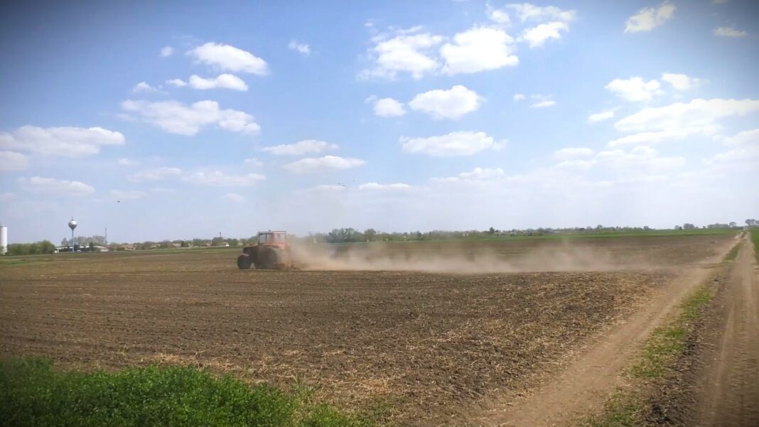 organska proizvodnja