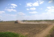 Organska proizvodnja u Srbiji na manje od 1 odsto poljoprivrednih površina