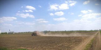 Organska proizvodnja u Srbiji na manje od 1 odsto poljoprivrednih površina