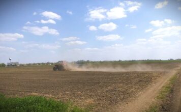 Organska proizvodnja u Srbiji na manje od 1 odsto poljoprivrednih površina