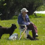 Rešiti problem uzurpacije pašnjaka