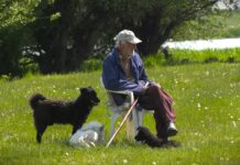 Rešiti problem uzurpacije pašnjaka