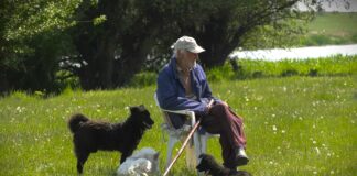 Rešiti problem uzurpacije pašnjaka