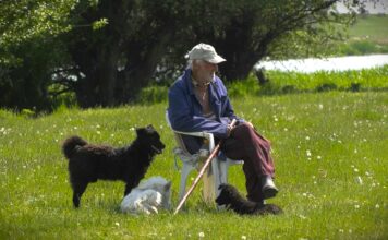 Rešiti problem uzurpacije pašnjaka