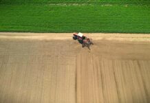 Poreska uprava: Rešenja o utvrđenim obavezama poljoprivrednika za 2026. godinu poslata poštom