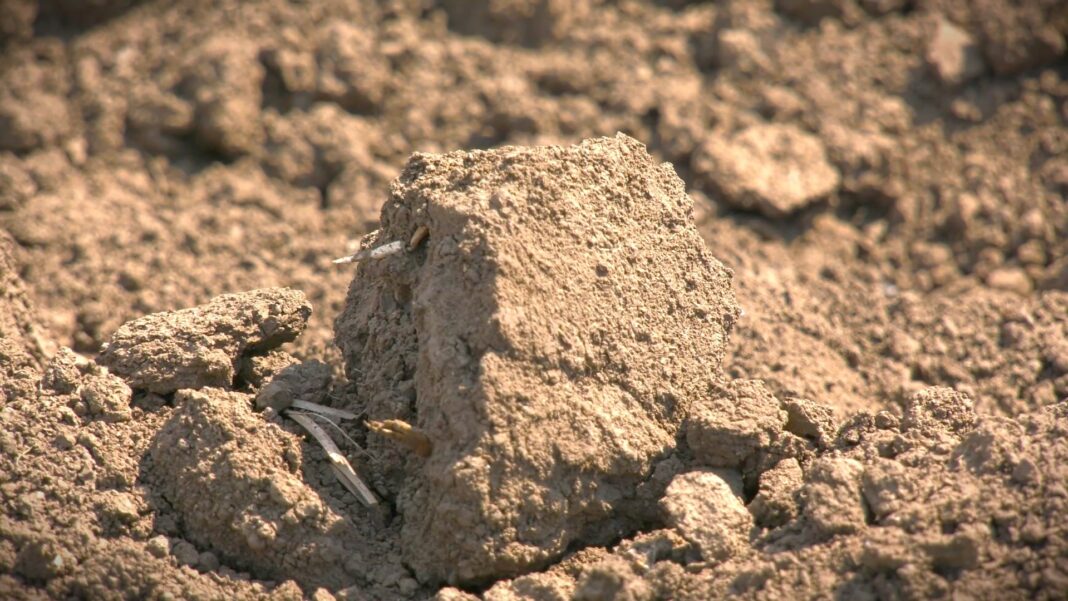 velike razlike u ceni