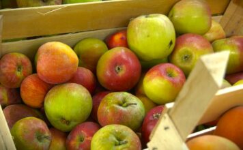 Vlada Srbije propisala obavezne pisane ugovore za otkup pšenice, mleka, voća, povrća, meda