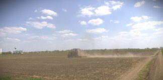 Žene u poljoprivredi – uloga ključna, a položaj nezavidan