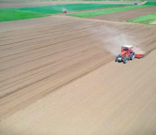 EU razmatra ukidanje carina na đubriva