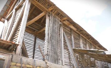 Do tri miliona dinara bespovratno za mlade poljoprivrednike u Vojvodini