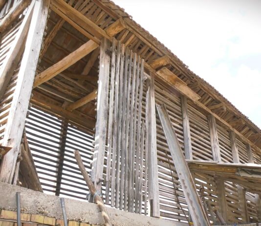 Do tri miliona dinara bespovratno za mlade poljoprivrednike u Vojvodini