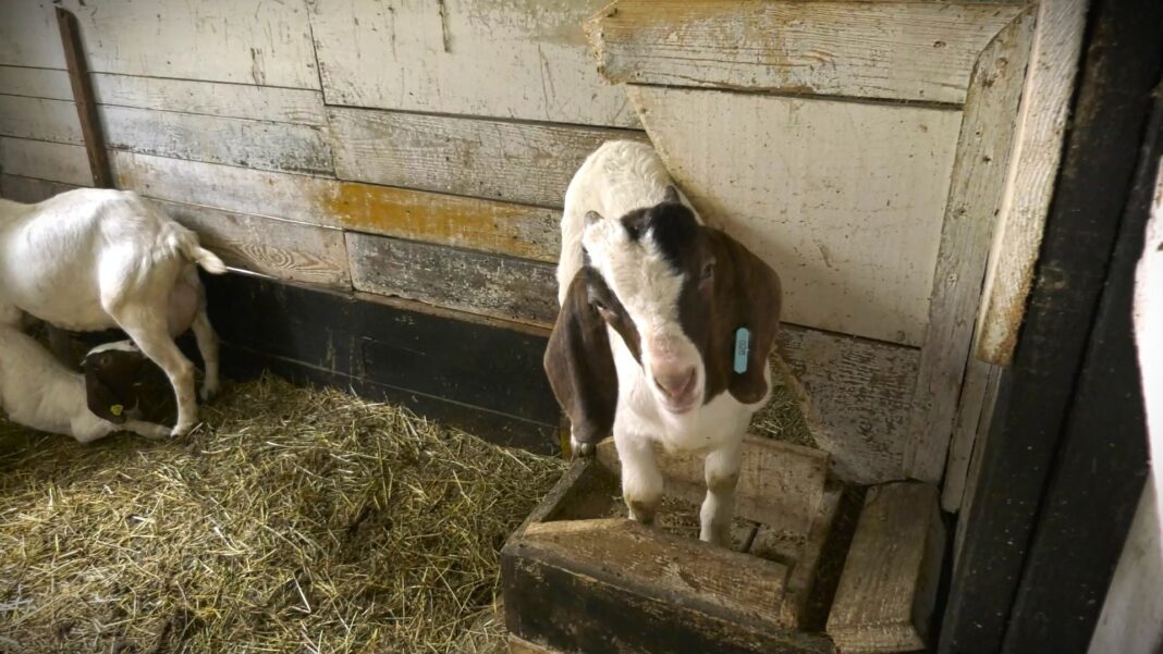 MINISTARSTVO POLJOPRIVREDE 1