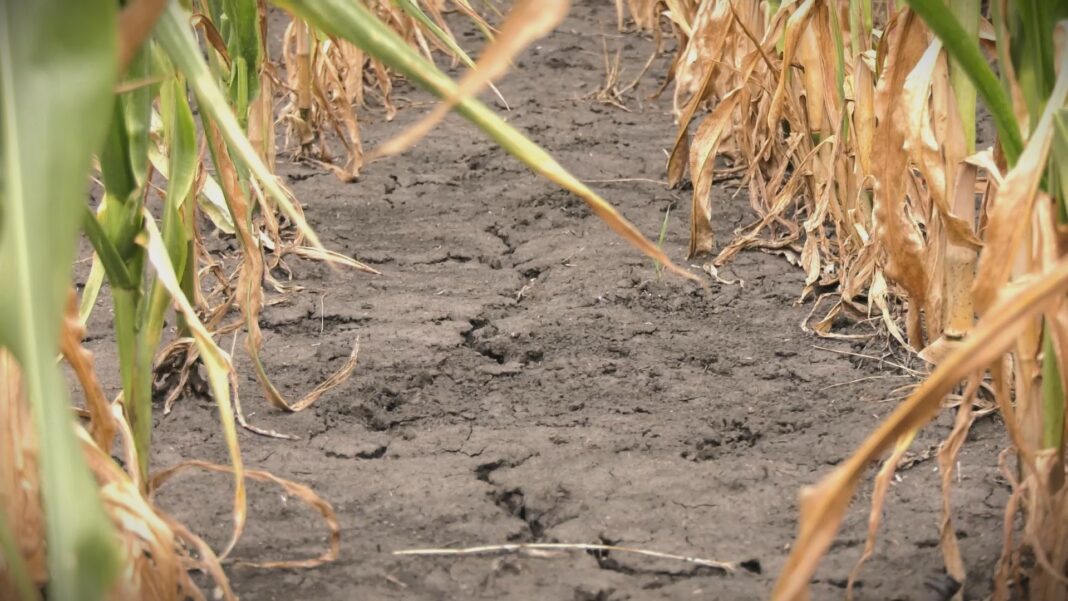 poljoprivreda klimatske promene