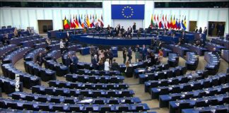 Dijaspora traži od EU: Zamrznuti sredstva vlastima, novac usmeriti građanima Srbije