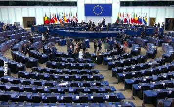 Dijaspora traži od EU: Zamrznuti sredstva vlastima, novac usmeriti građanima Srbije