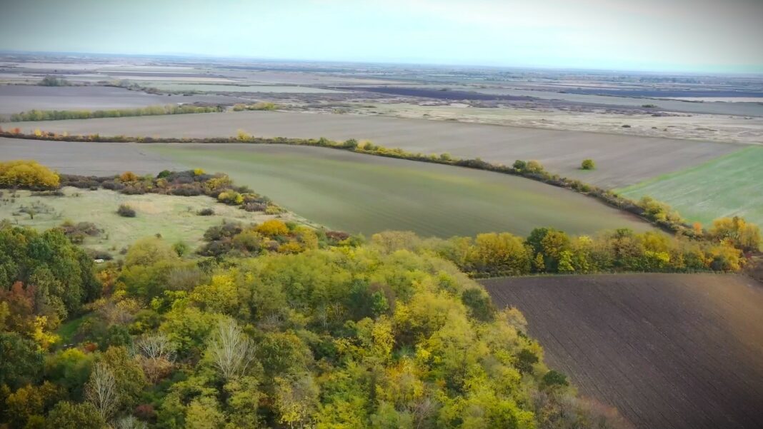 drustvo za zastitu ptica