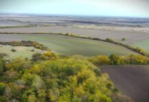 Društvo za zaštitu i proučavanje ptica Srbije: Pridružite se izletima na kojima se slušaju slavuji