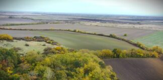 Društvo za zaštitu i proučavanje ptica Srbije: Pridružite se izletima na kojima se slušaju slavuji