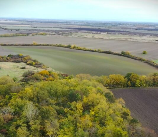 Društvo za zaštitu i proučavanje ptica Srbije: Pridružite se izletima na kojima se slušaju slavuji