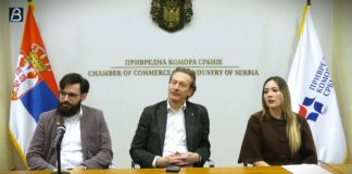 Srpska gejming industrija prihodovala 222 miliona evra, ali zapošljavanje usporava