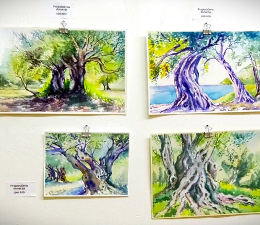 Humanitarna izložba „Ono što ostaje u boji“ u Paviljonu Cvijete Zuzorić