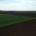 Kiša odlučuje žetvu pšenice 2026: Hoće li 5 tona biti dovoljno?