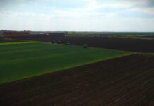 Kiša odlučuje žetvu pšenice 2026: Hoće li 5 tona biti dovoljno?