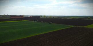 Kiša odlučuje žetvu pšenice 2026: Hoće li 5 tona biti dovoljno?