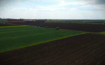 Kiša odlučuje žetvu pšenice 2026: Hoće li 5 tona biti dovoljno?