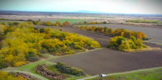 Konkurs namenjen udruženjima građana „Građani za životnu sredinu“, prijave do 24. aprila