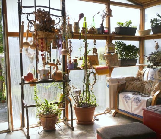 Konkurs za seoski turizam u Vojvodini – Do dva miliona dinara