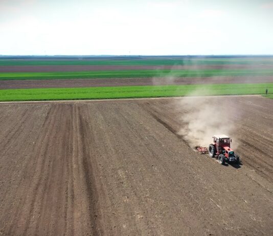 Setva pod pritiskom globalne krize: Đubriva ima, ali neizvesnost raste