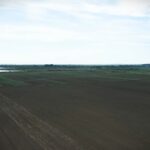 Srem rekorder: Hektar poljoprivrednog zemljišta dostigao 36.800 evra