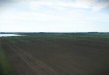 Srem rekorder: Hektar poljoprivrednog zemljišta dostigao 36.800 evra