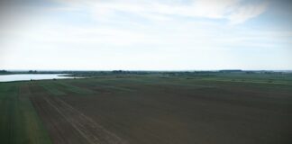 Srem rekorder: Hektar poljoprivrednog zemljišta dostigao 36.800 evra