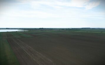 Srem rekorder: Hektar poljoprivrednog zemljišta dostigao 36.800 evra