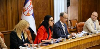 Druga sednica Saveta za porodicu i demografiju