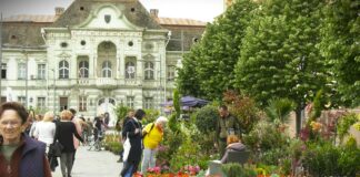 Cvetna pijaca u Zrenjaninu – Opojni mirisi i šarenilo cveća na Trgu slobode