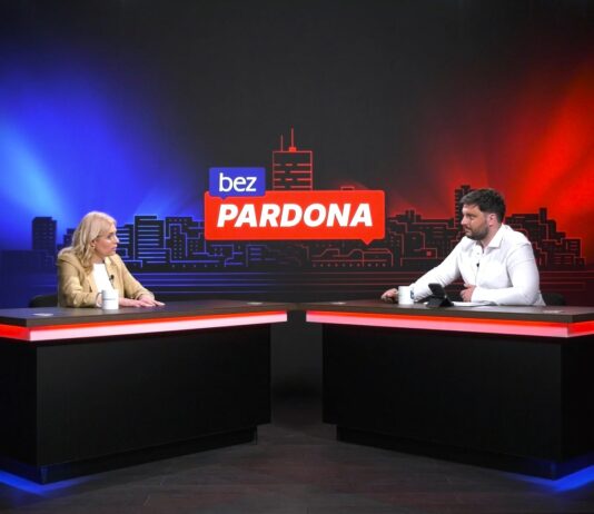 Jelena Pavlović – Sam politički vrh je duboko upleten u kriminal