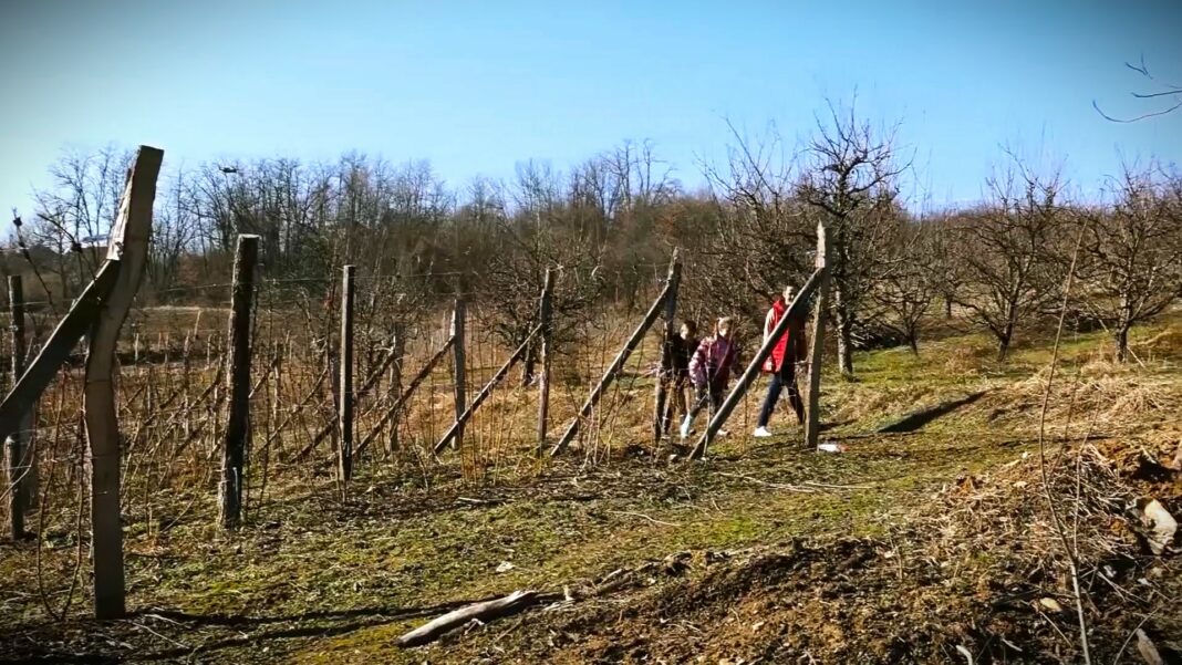 kome pripada zemlja