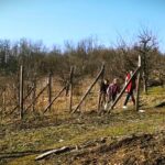 Kome pripada zemlja Srbije -Nedovršena restitucija, nestanak sela i borba za prehrambeni suverenitet