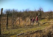 Kome pripada zemlja Srbije -Nedovršena restitucija, nestanak sela i borba za prehrambeni suverenitet