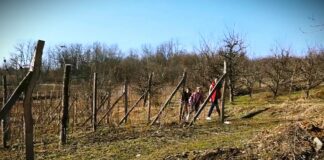 Kome pripada zemlja Srbije -Nedovršena restitucija, nestanak sela i borba za prehrambeni suverenitet
