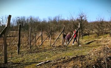 Kome pripada zemlja Srbije -Nedovršena restitucija, nestanak sela i borba za prehrambeni suverenitet